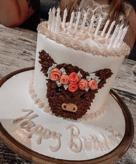 Fluffy Cow Birthday Cake, Highland Cow Buttercream Cake, Birthday Cake Ideas Western, Highland Cow 1st Birthday Party, Highland Cow Sheet Cake, Western Cakes Birthday For Women, Country Cakes Birthday, Highland Cow 1st Birthday Girl, Highland Cow Themed Birthday Party