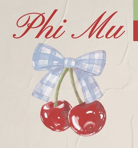 Phi Mu Aesthetic, Phi Mu Letters, Sorority Tshirt Designs, Sorority Designs, Delta Zeta, Phi Mu, Cricut Ideas, Shirt Ideas, Bubble Gum