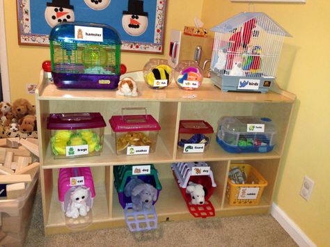 Preschool Pet Shop! How much fun would the children have with this in your library? What books would you display with your "pets" ?  From thoughtfulspotdaycare.blogspot.com Dramatic Play Themes, Eating Fruit, Pets Preschool Theme, Role Play Areas, Dramatic Play Preschool, Dramatic Play Area, Preschool Centers, Classroom Centers, Dramatic Play Centers