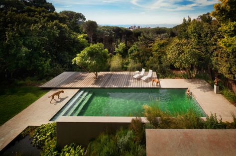 Photo: Antonio Zaninovic Architects Moderne Pools, Green Pool, Modern Outdoor Spaces, Modern Outdoor Patio, Outdoor Patio Designs, Natural Swimming Pools, Natural Swimming Pool, Modern Pools, Casa Exterior