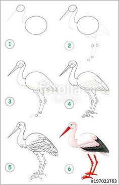 Stork Drawing, Drawing Instructions, Drawing Tutorial Easy, Drawing For Beginners, Pencil Art Drawings, Step Drawing, Learn How To Draw, Cute Easy Drawings, Art Drawings For Kids