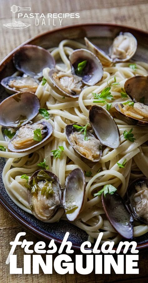 Easy linguine made with fresh clams! So incredible! Linguini And Clams, Pasta With Clam Sauce, Clam Sauce Recipe, Fresh Clams, Clam Sauce Linguine, White Clam Sauce, Linguine Recipes, Dinner Favorites, Clam Sauce