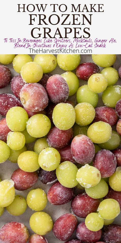 Frozen grapes are quick and easy to make, and so pretty to add to your summer drinks. Just drop a few into your glass to keep your beverages chilled. Learn How to Freeze Grapes with this easy recipe to add to sparkling water, spritzers, Ginger Ale, mocktails, smoothies and more. How To Freeze Grapes, Can You Freeze Grapes, Frozen Grapes Recipe, Freeze Grapes, Fruit Prep, Low Cal Snacks, Harvest Kitchen, Frozen Grapes, Grape Recipes