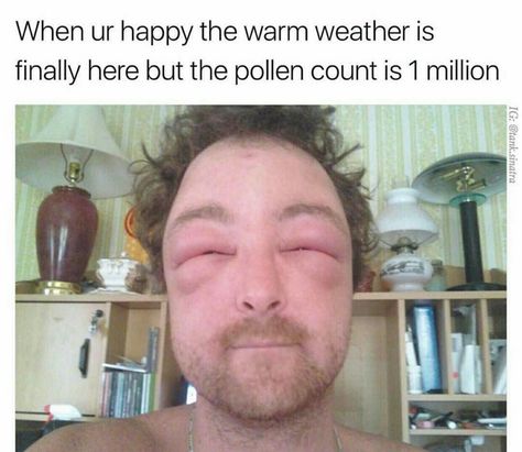 allergies meme Allergy Memes Funny Hilarious, Allergy Memes, Allergies Funny, Words Of Condolence, Memes Funny Hilarious, Stock Photos Funny, Crying At Night, Baseball Humor, What’s Going On