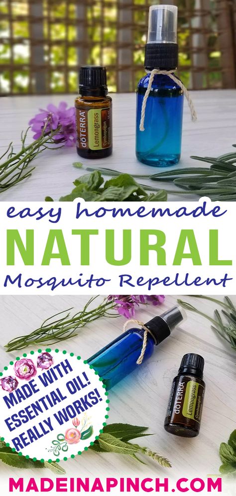 Essential Oil Mosquito Repellent, Essential Oils For Mosquitoes, Mosquito Repellent Essential Oils, Repellent Diy, Essential Oil Bug Spray, Diy Bug Repellent, Mosquito Repellent Homemade, Diy Mosquito Repellent, Natural Mosquito Repellent