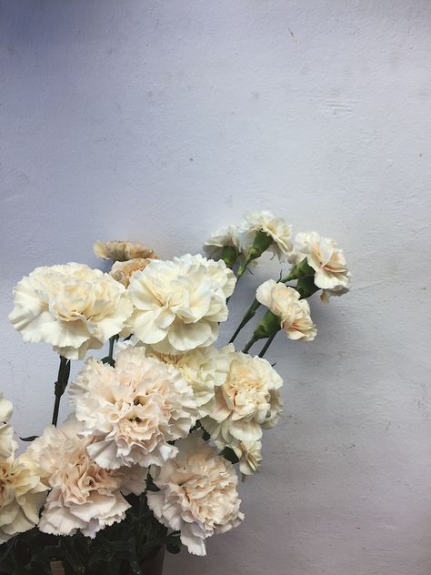 Carnations White Carnation Wedding, White Carnations Wedding, Cream Carnation, Carnation Caramel, Flower Recipe, Carnation Wedding, Flower Types, Cream Flower, White Dinner