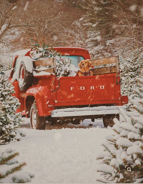 Winter Truck, Winter Christmas Scenes, Homemade Holiday Gifts, Kiel James Patrick, Christmas Red Truck, James Patrick, Christmas Truck, Christmas Tree Farm, Christmas Scenes