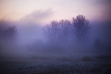 Beautiful Place, Planet Earth, Light Purple, Beautiful Places, Nature Photography, Trees, Forest, Lake, Fine Art