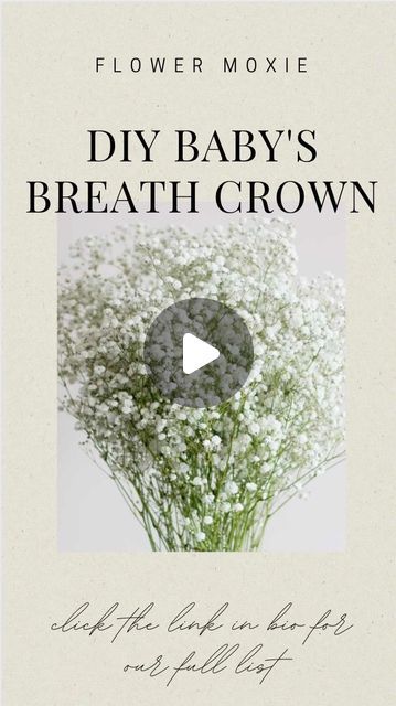 Flower Moxie on Instagram: "Let’s make a classic Baby’s Breath Crown! This quick tutorial only takes around 10 minutes to make and you can use any baby’s breath scraps on hand! Typically, you’ll only need about 2 stems of Baby’s Breath to bring this halo to life 🤩  #babysbreath #babysbreathcrown #flowergirl #diyflowergirlcrown #diywedding #flowermoxie #dogflowers #dogflowercrown" Babys Breath Flower Crowns, Babies Breath Flower Crown, Baby's Breath In Hair, Baby Breath In Hair, Baby Breath Crown, Diy Flower Crown Tutorial, Flower Crown Tutorial, Baby Breath Flower Crown, Flower Moxie