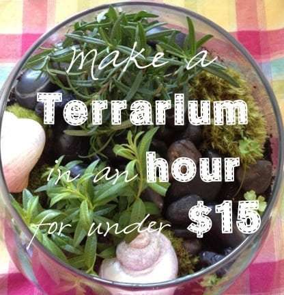 How to Make a Terrarium for Under $15: We made a lush terrarium using herbs for under $15. Learn how to make your own herb terrarium! #bestcrafts Make A Terrarium, Terrarium Ideas, Indoor Gardens, Terrarium Diy, Garden Terrarium, Succulent Terrarium, Gardening For Kids, Miniature Garden, Mini Garden