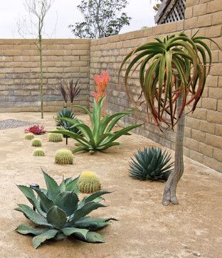 Xeroscape Garden in Dana Point - southwestern - Exterior - Orange County - Shelley Gardea Desert Landscape Design, Drought Resistant Landscaping, Desert Backyard, Succulent Landscape Design, Succulent Landscaping, Drought Tolerant Landscape, Dry Garden, Desert Garden, Drought Tolerant Plants