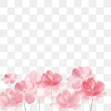 Pink Flowers Drawing, Pink Pattern Background, Branch Watercolor, Pink Flowers Background, White Rose Flower, Png Flower, Romantic Background, Flower Outline, Pink Texture