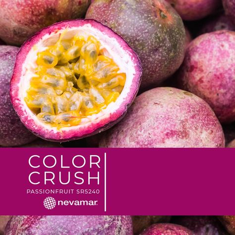 Passionfruit Color Palette, Passion Fruit Color Palette, Fruit Color Palette, Do It With Passion, Give It Your All, Laminate Furniture, Nothing At All, Color Crush, All Or Nothing