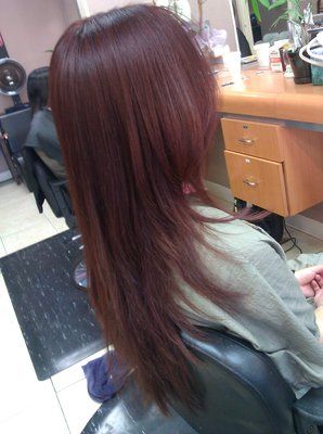 Feathered Hairstyles Straight, Layers In The Front Hair, Long Haircut With Layers Thick Hair, Layered Cut Straight Hair, Layers On Straight Hair, Layered Straight Hair, Shaped Haircut, Layered Haircuts Straight Hair, Layer Panjang