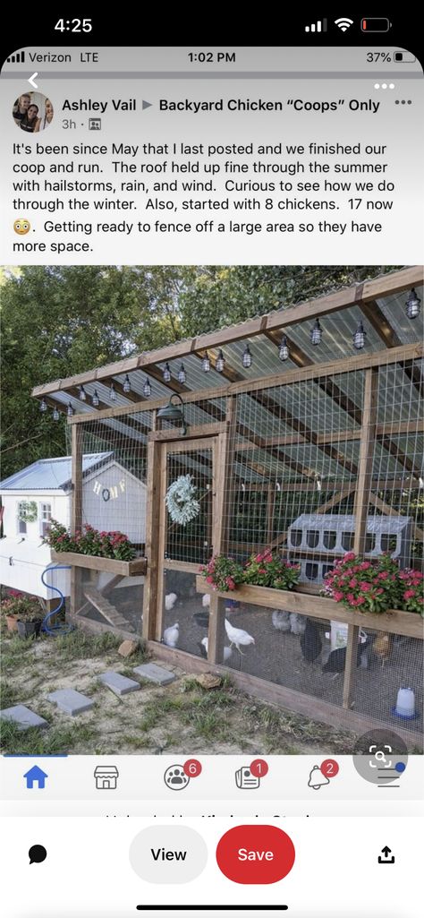 Farming Animals, Hen Coop, Backyard Coop, Chicken Shed, Duck Coop, Family Ranch, Backyard Chicken Coop Plans, Chicken Nesting Boxes, Chicken Coup