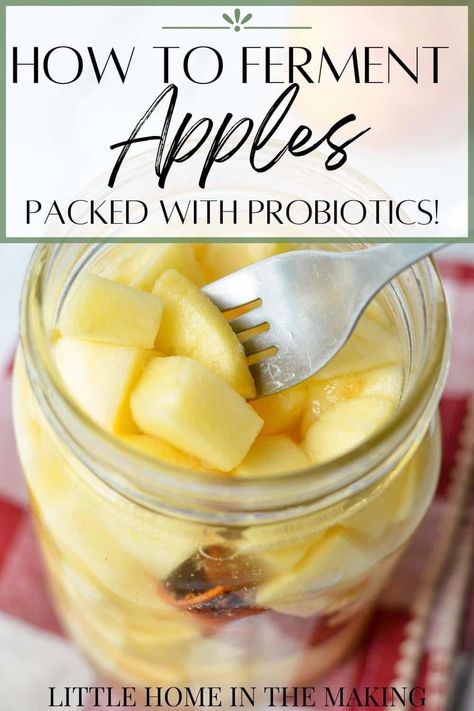 Fermented Food Ideas, Christmas Eatable Gifts, Fermented Veggies Recipes, Fermenting Jar Recipes, Preserved Food Recipes, Instant Pot Fermented Foods, Easy Fermented Foods, Easy Asian Potluck Recipes, How To Ferment Vegetables