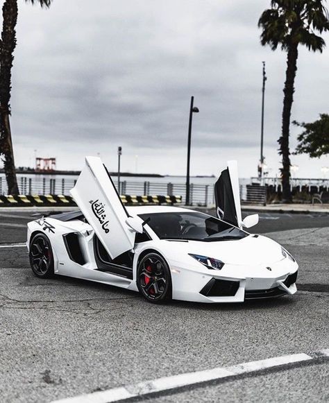 White Lambo, Weekend In Vegas, Supercars Wallpaper, Dream Cars Lamborghini, Aventador Lamborghini, Bike Pic, Car Memes, Lamborghini Cars, Best Cars