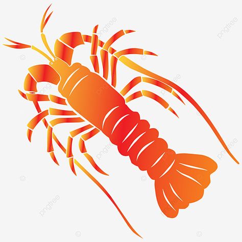 Lobster Clipart, Fresh Lobster, Art Png, Hd Images, Clipart Images, Png Image, Animal Art, Png Images, Clip Art