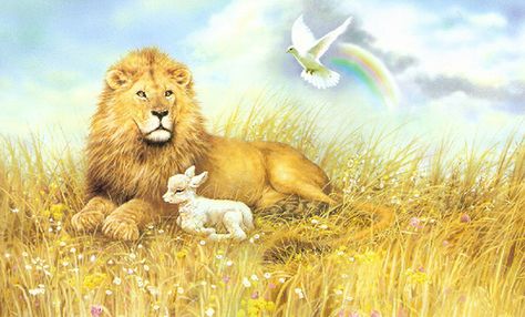 Lion, lamb and dove Best Quotes Wallpapers, Lion Lamb, Rainbow Lion, Christian Graphics, Lion And Lamb, Lion Painting, Lion Images, Quotes Bible, Prophetic Art