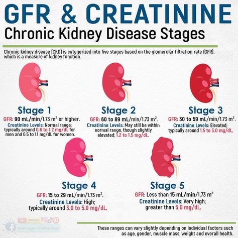 Health support for kidney dialysis Kidney Damage Symptoms, Chronic Kidney Disorder, Kidney Facts, Kidney Disorders, Human Body Vocabulary, Cleansing Foods, Herbal Benefits, Nursing Knowledge, Kidney Healthy Foods