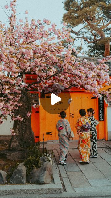 Dario Viegas on Instagram: "Thinking about sakuras and sushi 🍱 

#japan #travel #reels #cinematic #beautifuldestinations #tokyo #kyoto" Travel Reels, Insta Reels, Japan Trip, March 4, Japan Travel, Beautiful Destinations, Kyoto, Tokyo, Japan