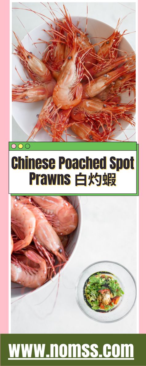 Chinese Poached Spot Prawns 白灼蝦 is one of the simplest and tastiest ways to enjoy the sweet, buttery and delicate flavours of BC Spot Prawns. It takes 5 minutes for Chinese restaurant quality easy recipes at home! Serve and enjoy with plain rice and shrimp dipping sauce! #tigerprawns #easyrecipes #shrimprecipes #boiledshrimp #spotprawnsrecipe #chineserecipes #chinese #blanchedprawns #blanchedshrimp #chineseprawns #chineseshrimprecipes #chinesehealthyrecipes #seafoodrecipes #seafoodrecipeseasy Rice And Shrimp, Chinese Shrimp Recipes, Shrimp Dipping Sauce, Spot Prawns, Paleo Seafood Recipes, Plain Rice, Easy Home Recipes, Fish Curry Recipe, Prawn Recipes