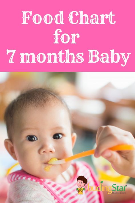 Mommies….!! As your baby has turned 7 months old, so now he/she is all ready to step forward from vegetable/ fruit purees to more varieties of food. Find diet plan for 7 months baby. #FoodChart #7Months Baby Food For 7 Month Old Recipes, Foods For 7 Month Old Baby, 7month Old Baby Food, Food For 7 Month Old Baby, 7 Month Old Food, 7 Month Old Baby Food, 7 Months Baby Food, Indian Diet Plan, 9 Month Baby Food