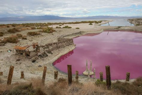 Salton Sea: As the Salton Sea ... Salton Sea California, Desert Paradise, Slab City, Salt City, Salvation Mountain, Salton Sea, Strange Places, Urban Legends, California Beach