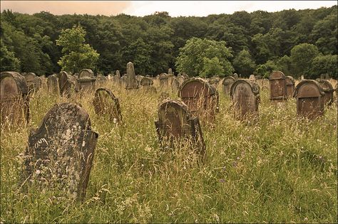 Jewish Cemetery in Alsace | In Rosenwiller, at 25 km SW of S… | Flickr Jewish Cemetery, Rest Well, Cemetery Headstones, Alsace France, Autumn Rain, Old Cemeteries, And July, After Life, Central Europe