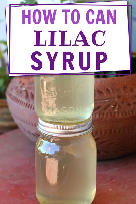 Easy tip for canning lilac simple syrup for cocktails and non-alcoholic drinks. Grape Hyacinth Simple Syrup, Canning Simple Syrup, Lilac Syrup Recipe, Canning Drinks, Lilac Simple Syrup, Botanical Recipes, Fruit Syrup Recipe, Canning Syrup, Simple Syrup For Cocktails