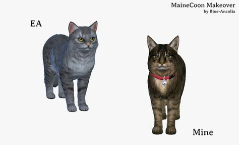 Blue Ancolia - Maine Coon Makeover  Here is Eclypse. She is a... Blue Ancolia, Quiet Cat, Sims 4 Cas, Maine Coon, The Sims 4, Sims Cc, Personalities, The Sims, Sims 4