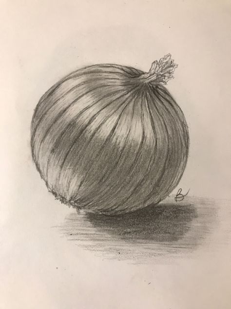 Onion Sketch, Onion Drawing, Still Life Drawing, Night Aesthetic, Life Drawing, Art Class, Art Classes, Drawing Reference, Pencil Drawings