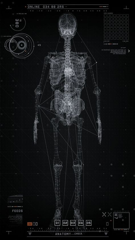 Human Skeleton, Skeleton, Human Body, Medical, Dots, Computer, Black And White, Human, White