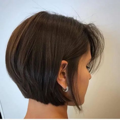 Short Hairstyle 40’s Women, Short Dark Brown Hair Edgy, Modern Inverted Bob, Layered Bob For Straight Hair, Haircuts 2023 Medium, Bob Women Hairstyles, Chin Length Hair Thick, Short Hair Above Chin, Haircuts For Short Length Hair