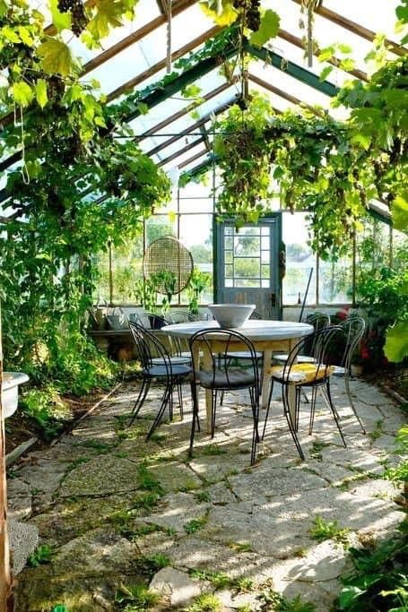 Greenhouse Cafe, Home Greenhouse, Backyard Greenhouse, Garden Wallpaper, Lawn Lights, Greenhouse Gardening, Garden Cottage, Greenhouses, Glass House