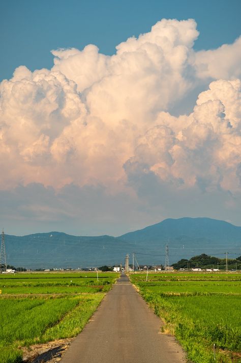 Landscape Perspective Photography, Scenery Reference Photos, Japan Summer Aesthetic, Landscape Reference Photos, Aesthetic Environment, Background Reference, Japanese Countryside, Landscape Reference, Beautiful Landscape Photography