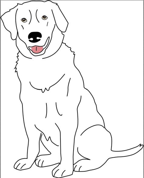 Yellow lab