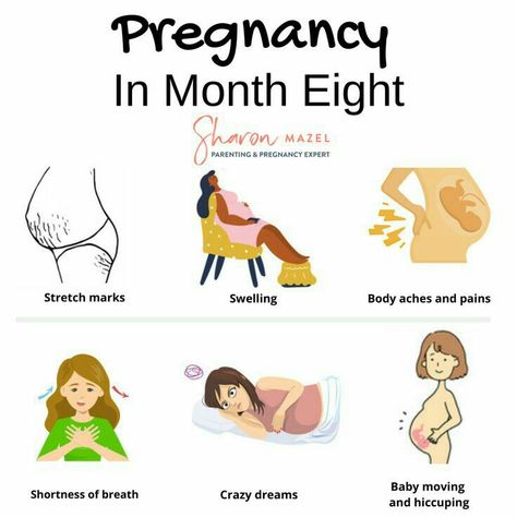 8th Month Pregnancy, Newborn Prep, Pregnancy Month, 8th Month, Hospital Checklist, Bag Packing List, 8 Months Pregnant, Pregnancy Timeline, Pregnancy Facts