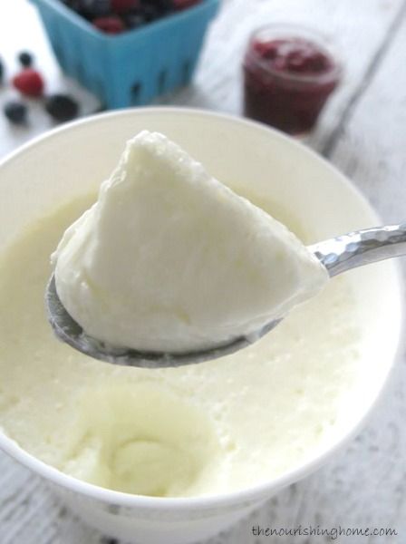 How to Make Dairy & Non-Dairy Greek-Style Yogurt {no straining required} - The Nourishing Home Substitute For Yogurt, Non Dairy Yogurt, 2 Ingredient Dough, Yogurt Making, Eat Cheap, Fruit And Yogurt Parfait, Recipe Photo, Savoury Snacks, Paleo Food