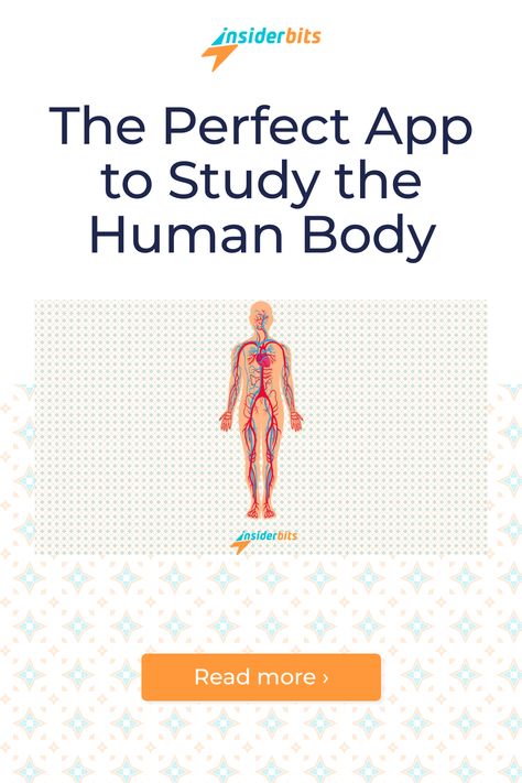 Skeleton | 3D Anatomy is an app to study the human body. It was designed ... Read More → Anatomy Apps, Anatomy App, 3d Anatomy, Body Joints, Free Content, Educational Apps, The Human Body, Human Anatomy, Augmented Reality