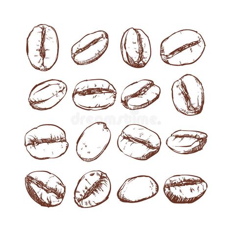 Coffee bean Isolated Hand drawn vector, sketch of coffee beans vector illustration John Coffey, Coffee Vector, Coffee Facts, Tree Vector, Coffee Bean Grinder, Coffee Drawing, Coffee Grinds, Coffee Illustration, Plakat Design