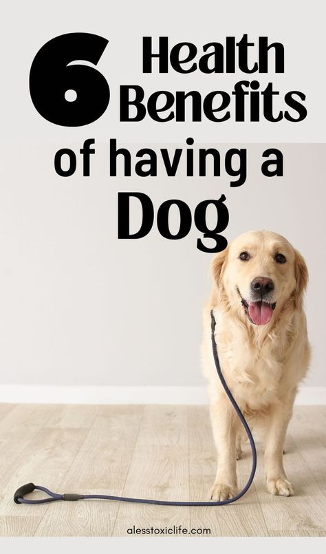 health benefits of having a dog Owning A Dog, Health Blogs, Dog Foods, Pet Tips, Dog Health Tips, Dog Essentials, Pet Ideas, Mini Goldendoodle, Pet Wellness