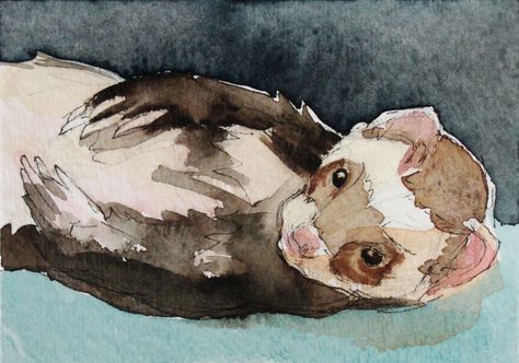 Ferret by Olivia Beaumont (watercolor)