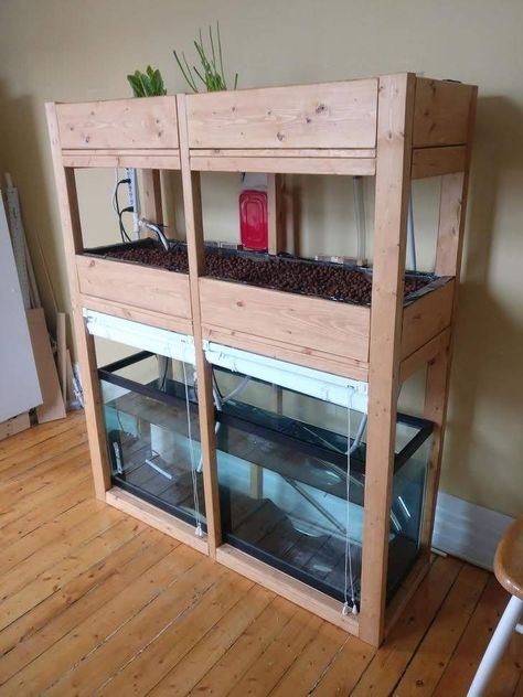 Indoor Aquaponics, Aquaponics Greenhouse, Backyard Aquaponics, Aquaponics Diy, Hydroponics Diy, Aquaponic Gardening, Diy Print, Aquaponics System, Fish Farming