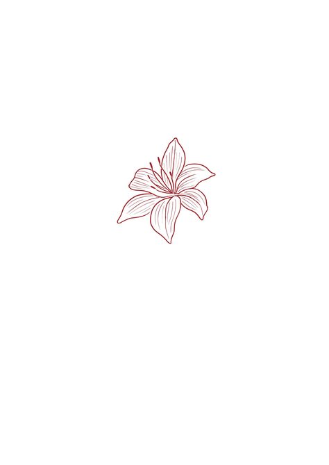 Red Ink Floral Tattoo, Tatoo Dog, Flower Tattoo On Ribs, Small Rib Tattoos, Lillies Tattoo, Tattoo Thoughts, Small Pretty Tattoos, Petite Tattoos, Small Hand Tattoos