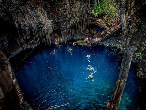 What excursion should you do in Progresso, Mexico? A Yucatán Cenote Excursion - Family Travel Go Progresso Mexico, Underwater Caves, Mexico Cruise, Area Map, Yucatan Mexico, Bus Ride, Mayan Ruins, Archaeological Site, The Ship