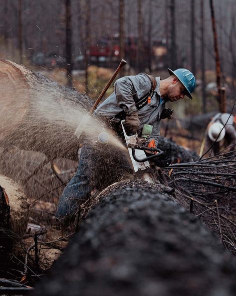 Westcoast Saw Chainsaw Photography, Deforestation Project, Arborist Gear, Lumberjack Tools, Forest Gump, Logging Equipment, Stihl Chainsaw, Tree Felling, Chainsaw Parts