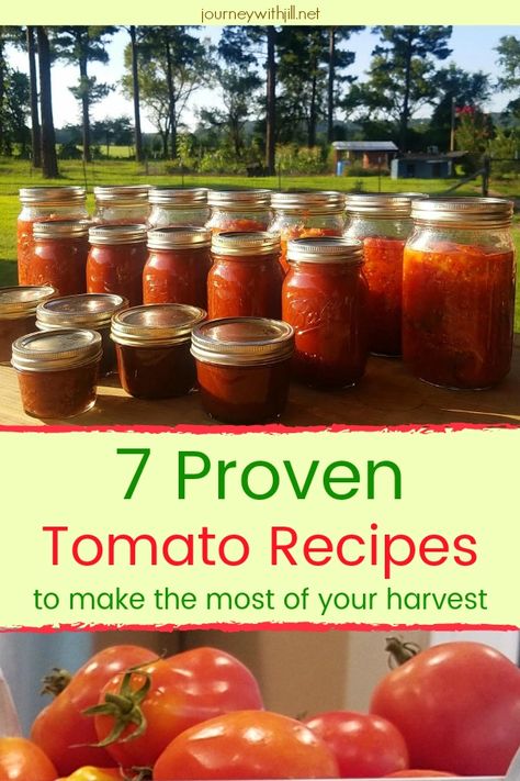 How To Use Tomatoes From Garden, Using Tomatoes From Garden, Canning Recipes Using Tomatoes, Tomato Harvest Recipes, Tomato Canning Recipes Easy, Recipes For Tomatoes From Garden, Canned Tomatoes Recipes, Pantry Prepping, Tomato Sauce Spaghetti