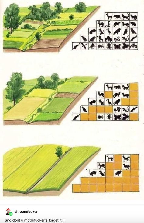 Protein Products, Landscape Diagram, Human Interest, Growing Greens, Permaculture Gardening, Permaculture Design, Rural Landscape, Permaculture, Horticulture