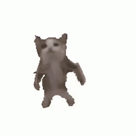 Cat Dancing GIF - Cat Dancing Gangnam Style - Discover & Share GIFs Dancing Cat Gif, Arte Gif, Dancing Gif, Dancing Cat, Gangnam Style, Cat Icon, Silly Animals, Silly Cats, Cute Gif